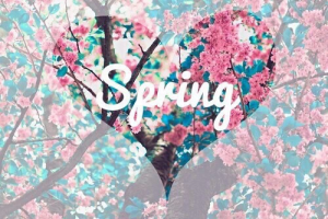 hello Spring